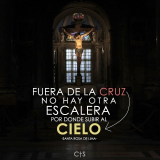 CRUZ-2_00000