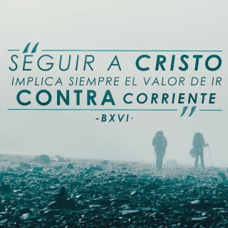 Seguir_00000
