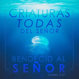 creaturas_00000