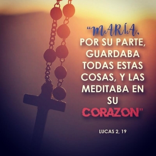 opt_15