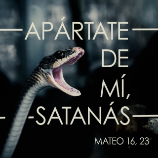 snake_00000